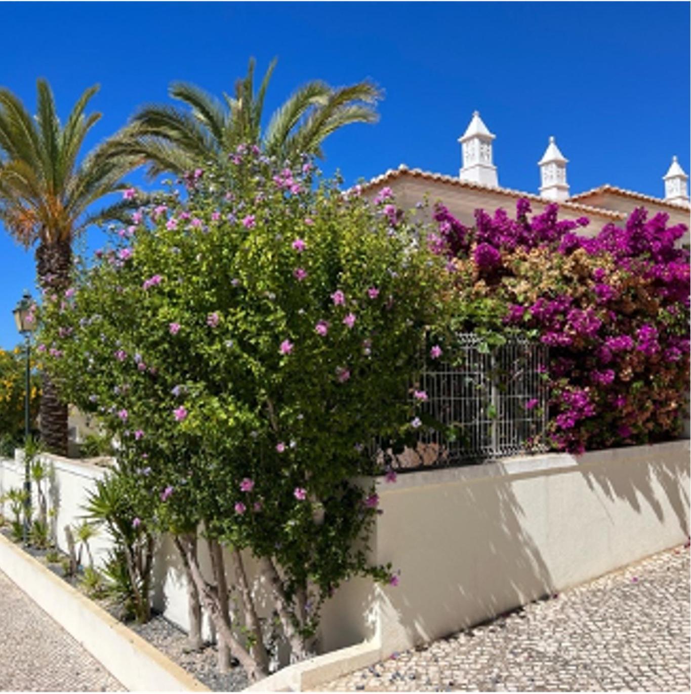 Casa Cristovao - Castelo House 28 - Ferragudo Am Atlantik Ferragudo (Faro)